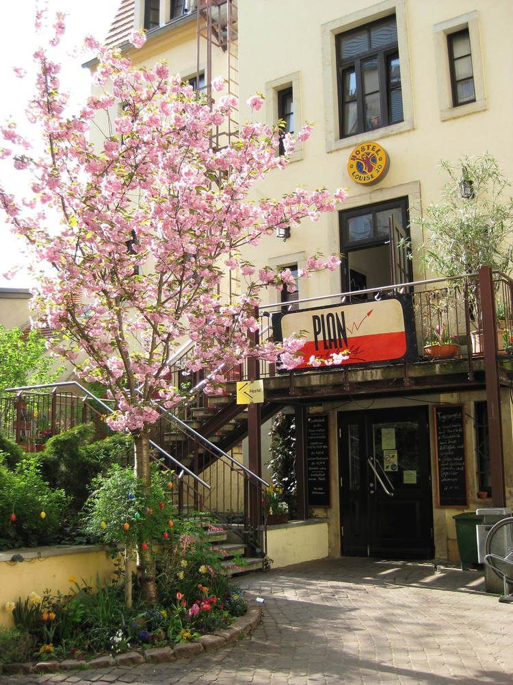 Hostel Louise 20 Drážďany Exteriér fotografie
